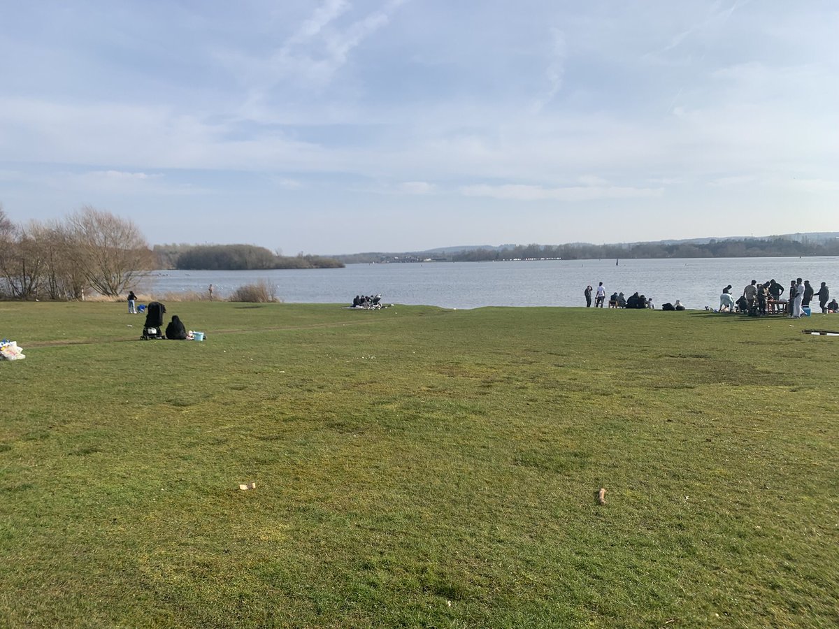 DonaldMac tweet media