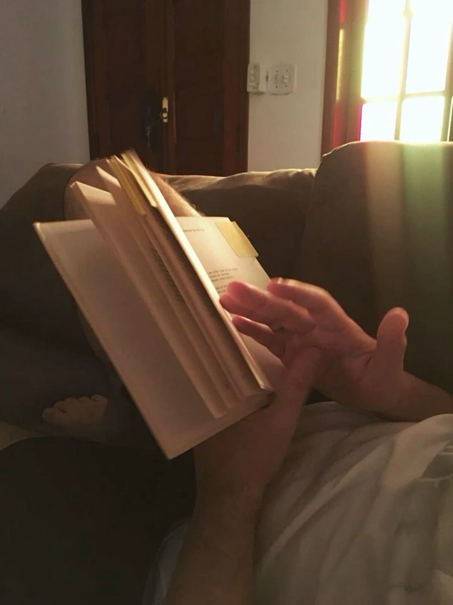 𝜗𝜚 brooke tweet media