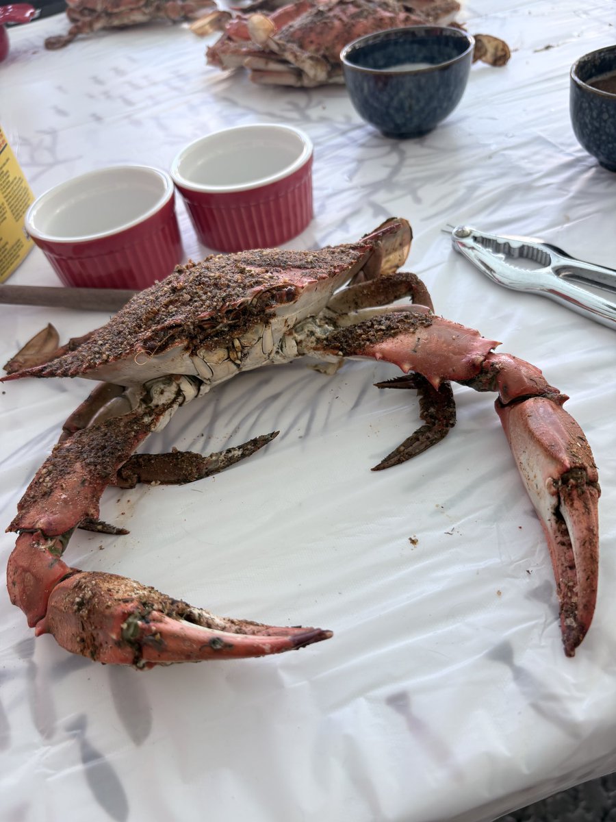 Frank from Florida tweet media