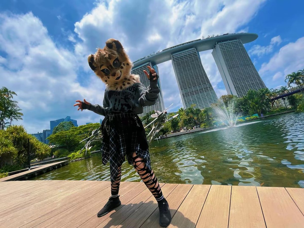 🌿 Amyquel 🔜 LIFC2026 tweet media