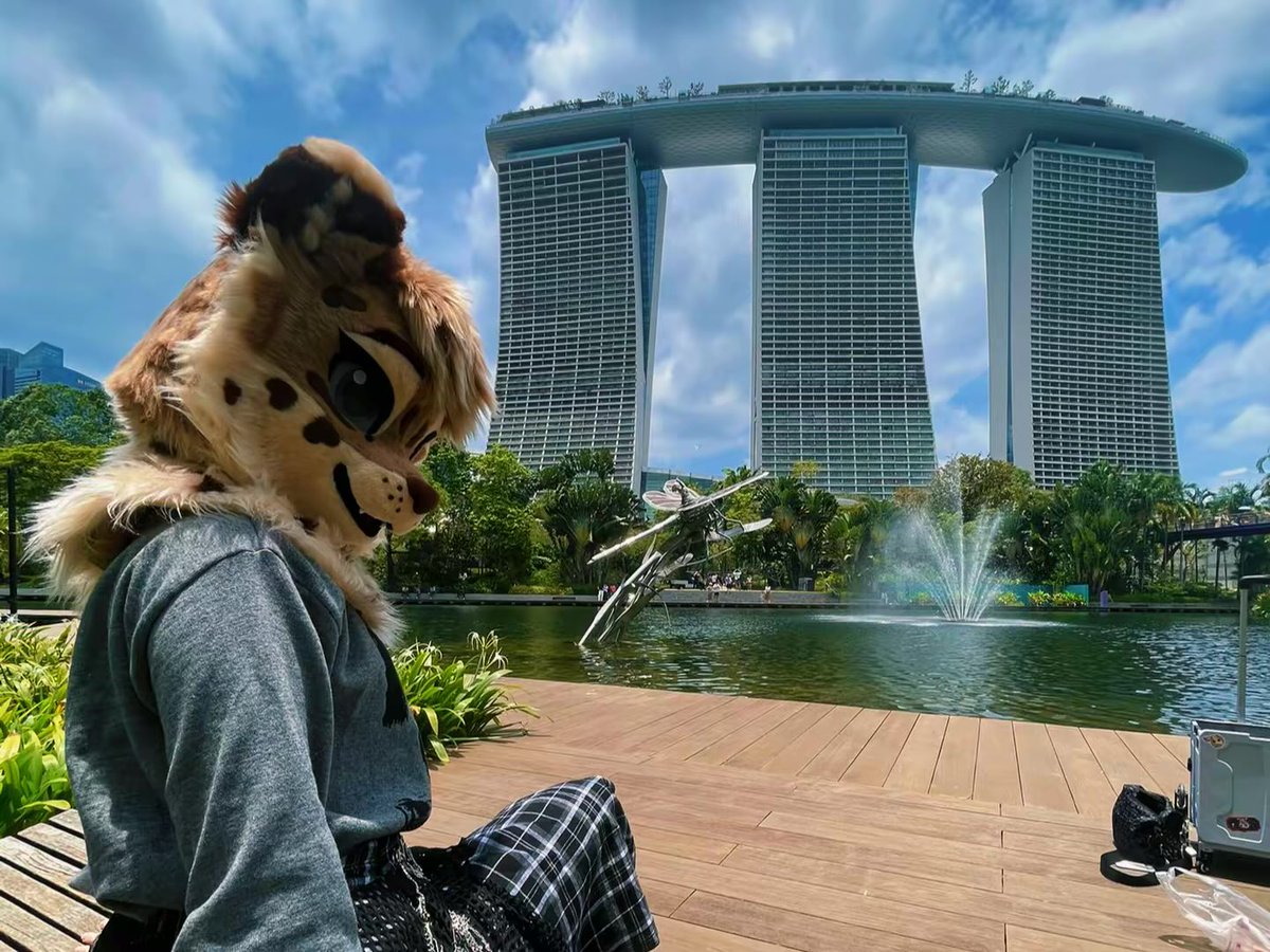 🌿 Amyquel 🔜 LIFC2026 tweet media