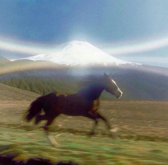 how it feels to be confident in my gender &amp; expression of masculinity bc i socialize &amp; don’t subject myself to chronically online lesbian discourse