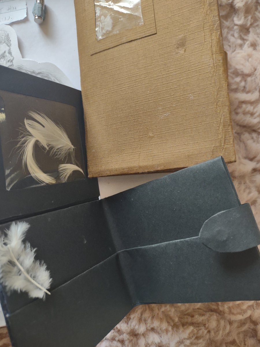 STEW_ART_LITTLE tweet media