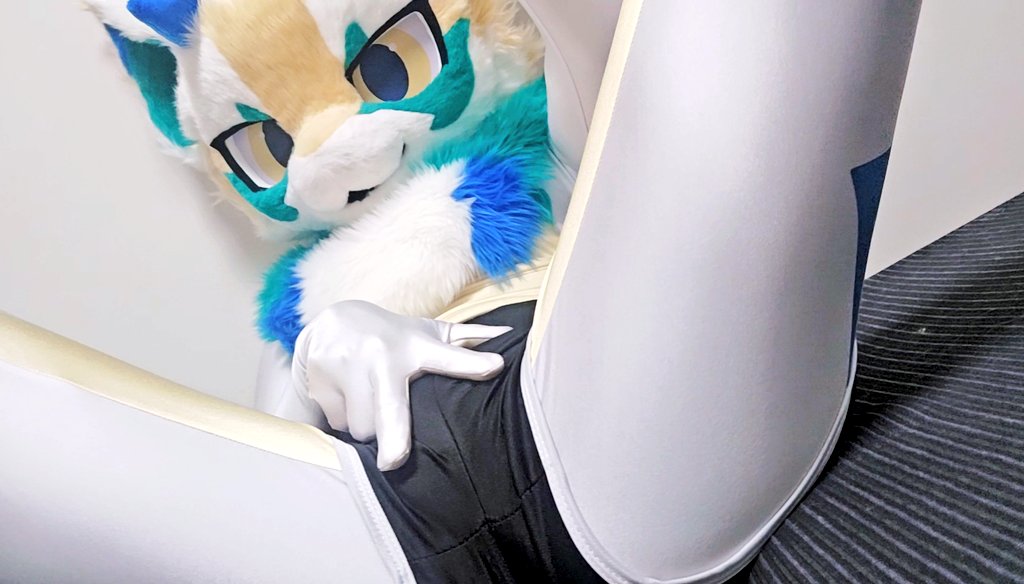 폴랑🔜FurstClass tweet media