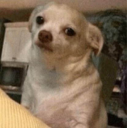 Calilies tweet media