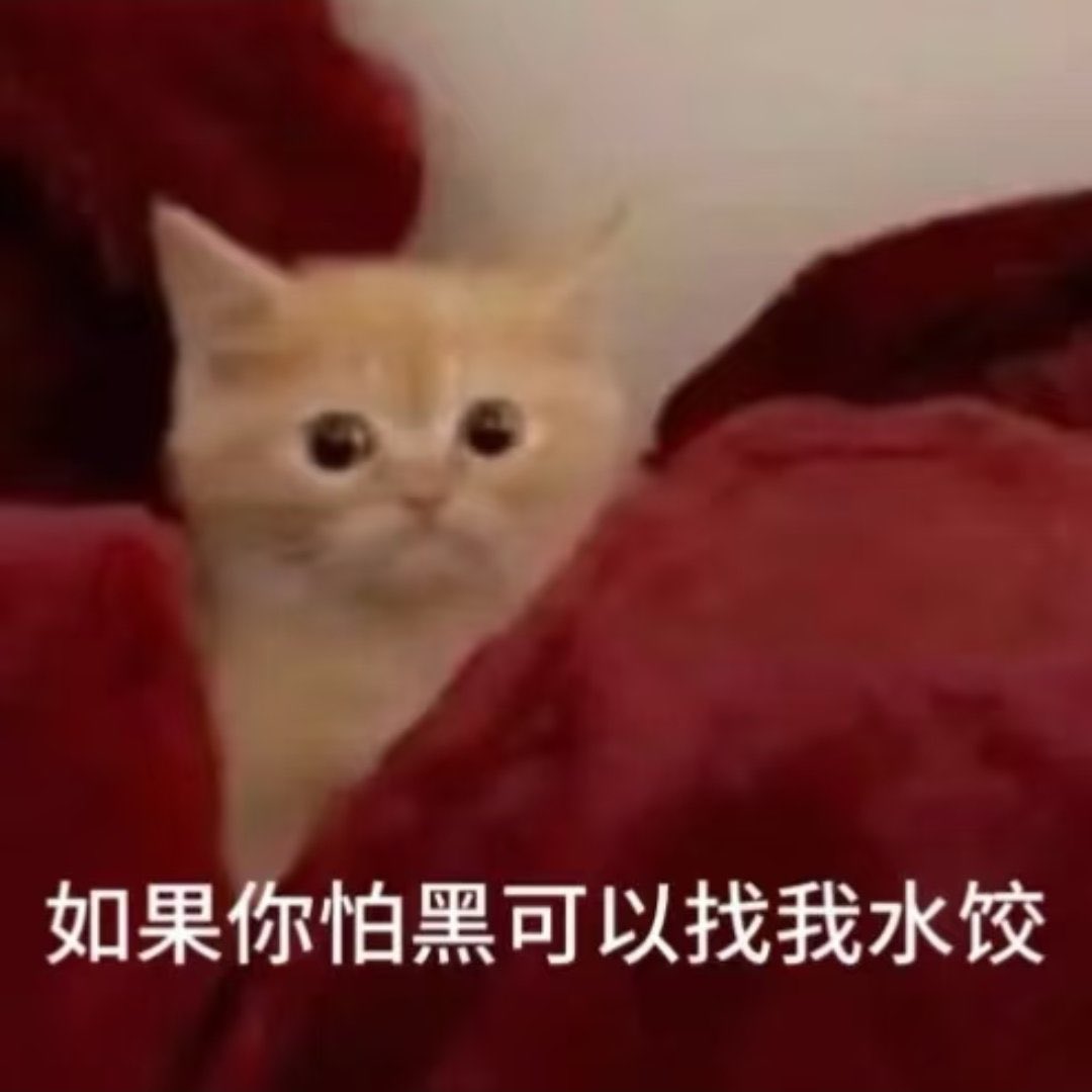 兔子 tweet media