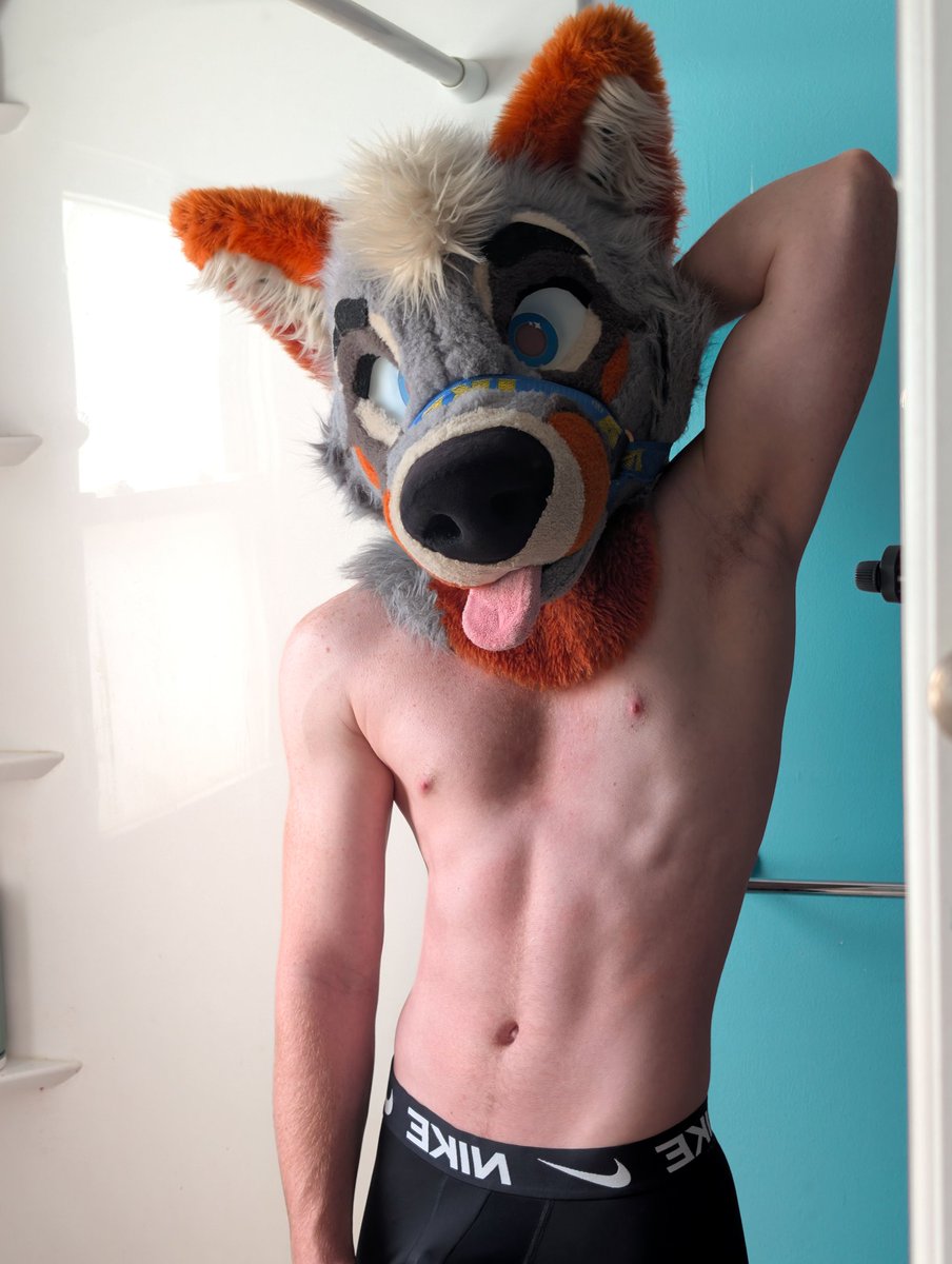 Lucky 🐾 tweet media