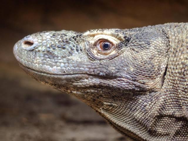 Oscar Eduardo tweet media