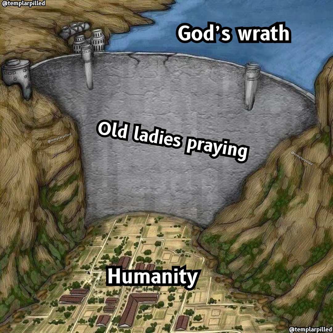 Templarpilled tweet media