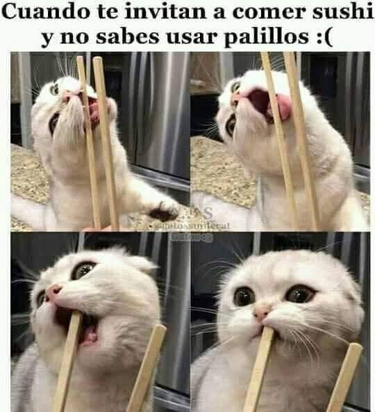 TuzitaMemeX (@tuzitaxtuitera) on Twitter photo 