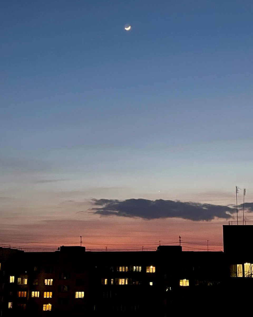 🍏bila nalyvka tweet media