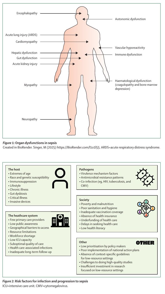 Medicina Interna HCSBA tweet media