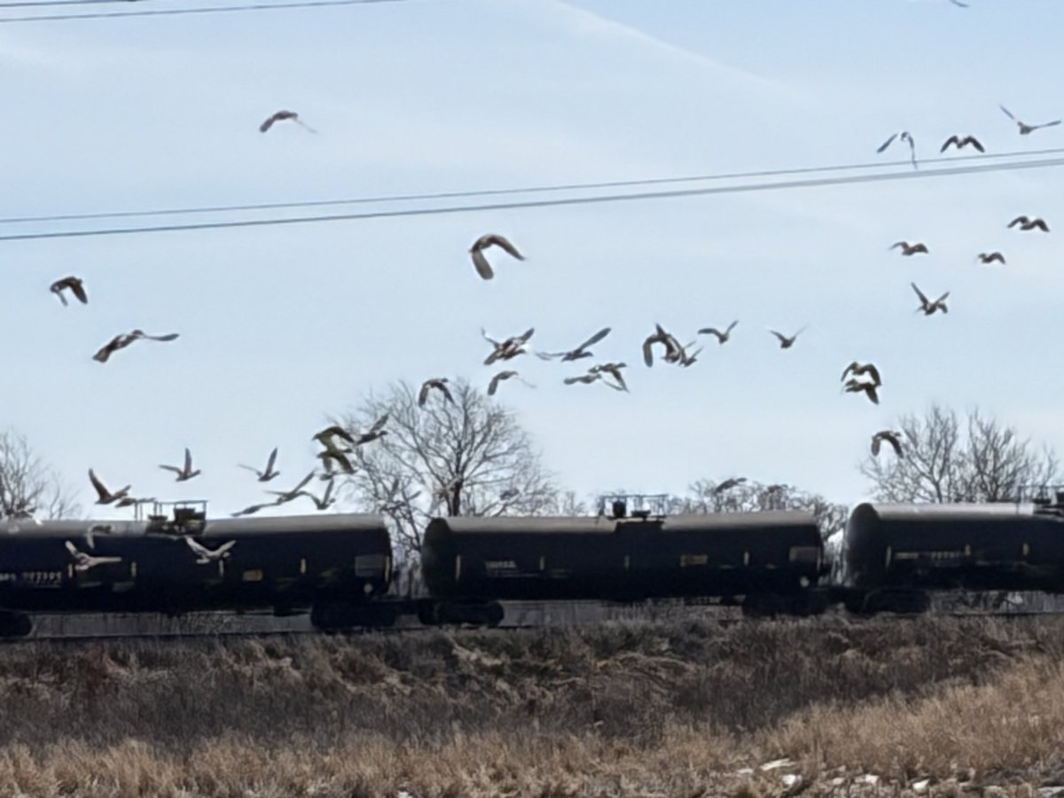 𝒩𝒶𝓉𝒶𝓁𝒾𝒶 tweet media