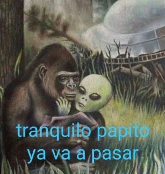 Concilio de Collao tweet media