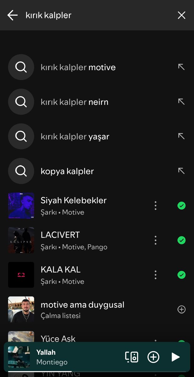 zeynep tweet media