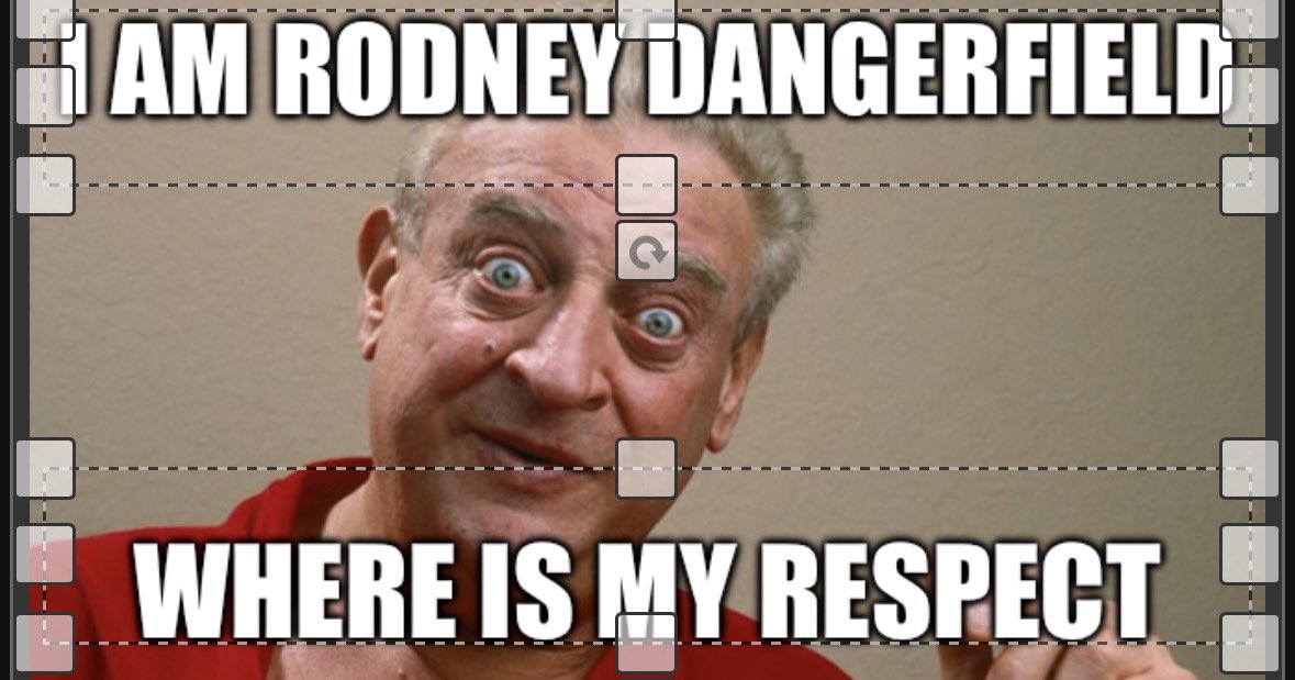 swan 🍃 tweet media