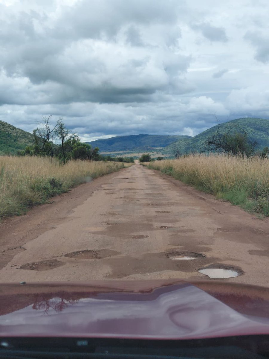 Dr. Katiana tweet media