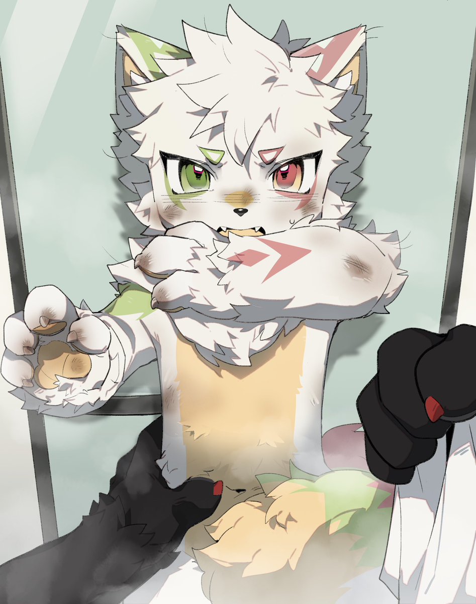 黒曜石🔜UTFG🔜OFFF tweet media