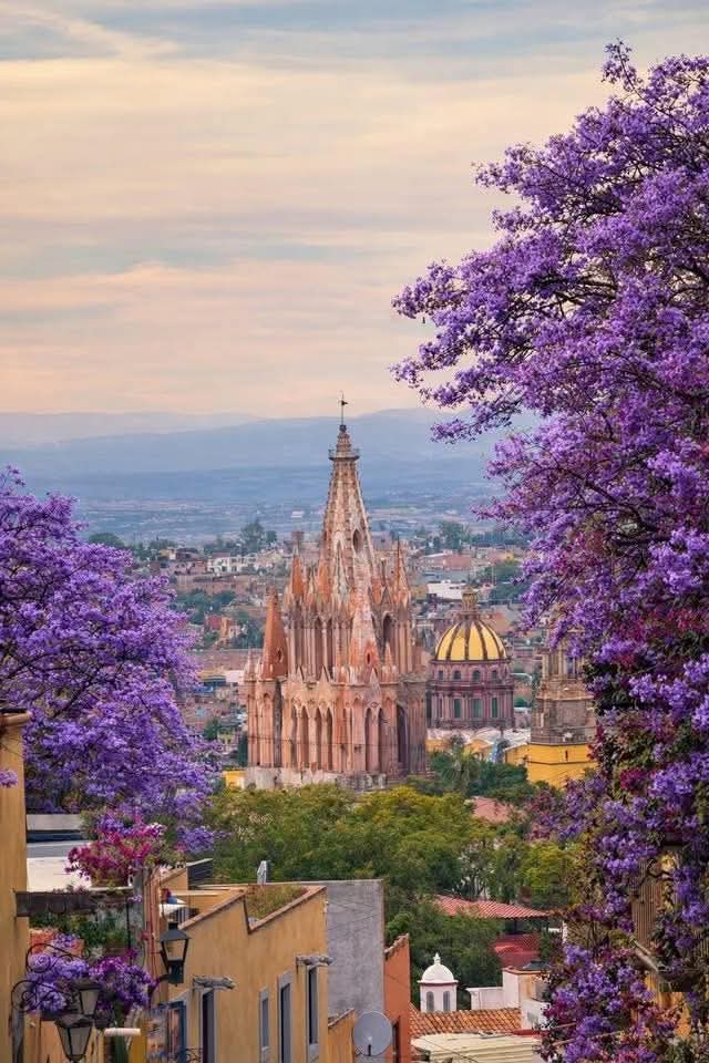 Jean-Jacques Rousseau tweet media