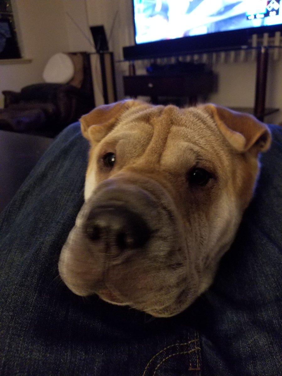 Stupid Sexy Flanders tweet media