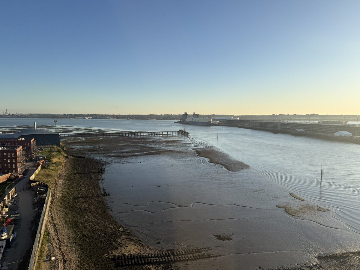 WithHatem tweet media