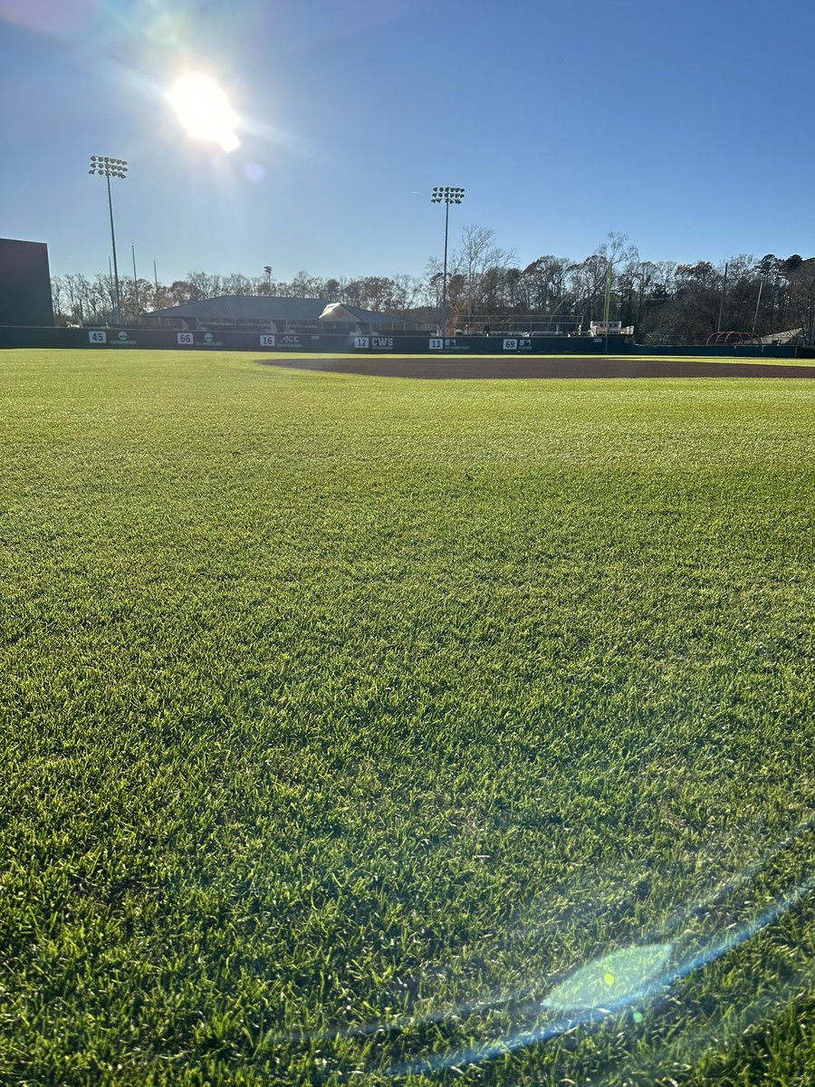 Michael Marianos tweet media