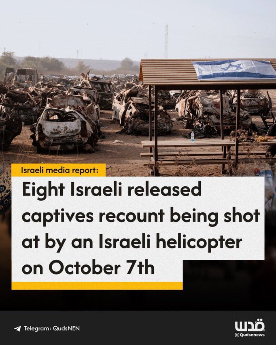 Dexter Bear ‼️ tweet media