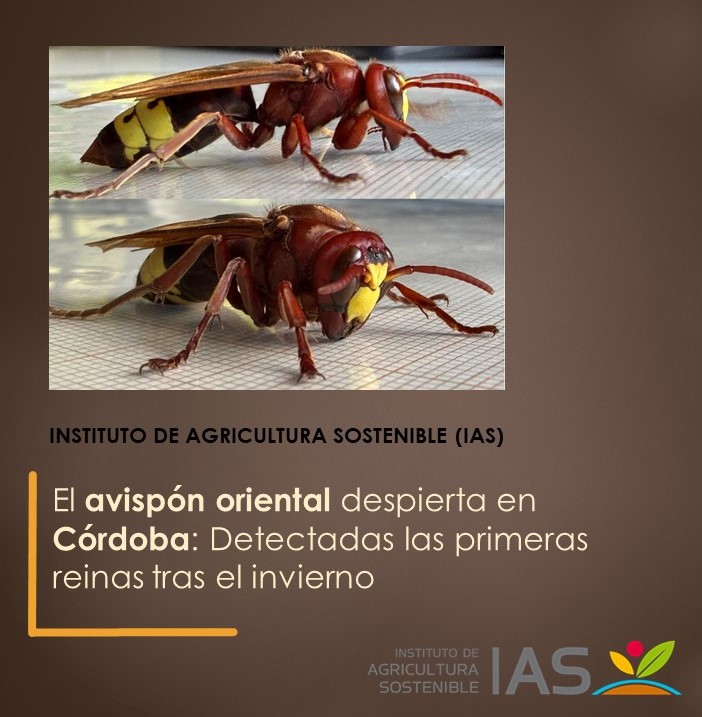 IAS-CSIC tweet media