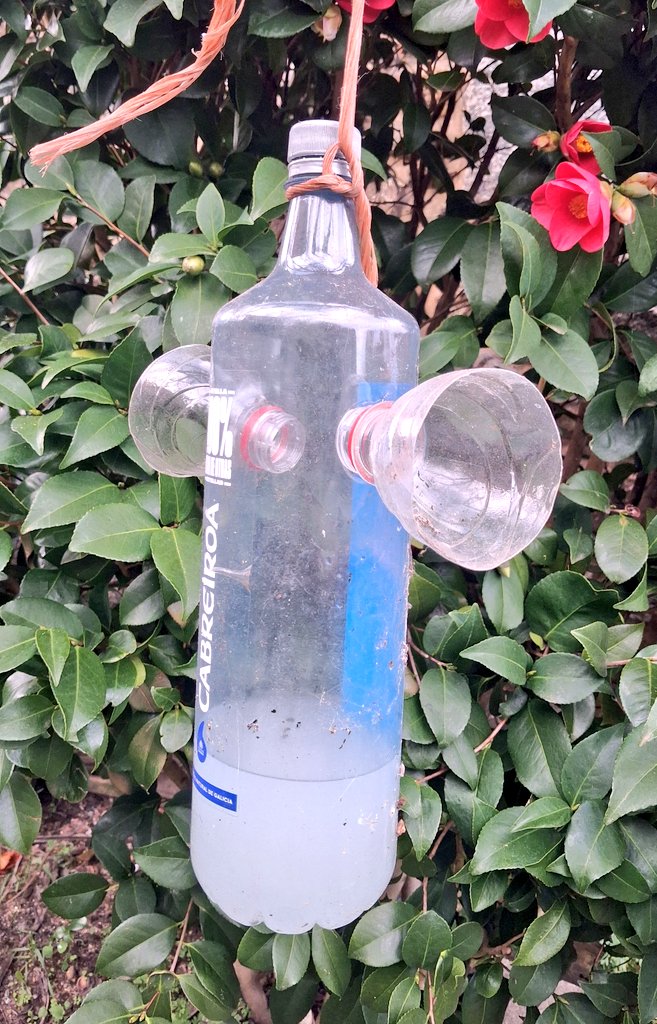 O Salcedo 🏳️‍🌈 tweet media