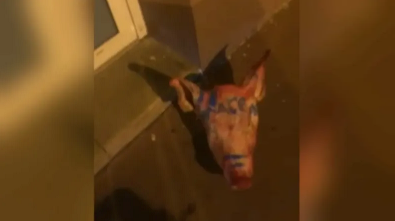 Louis Duclos tweet media