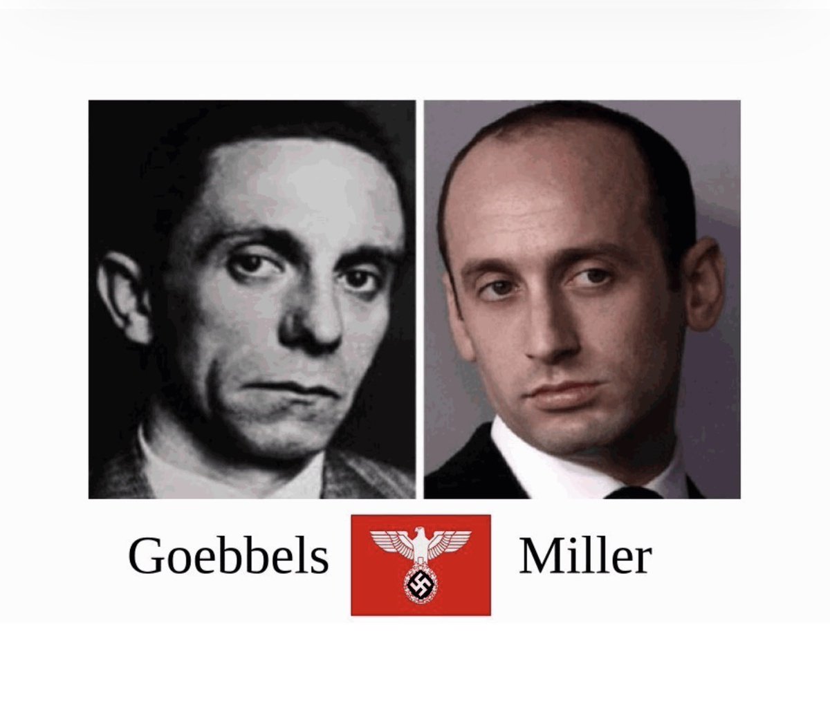 IScareMAGAVoters tweet media