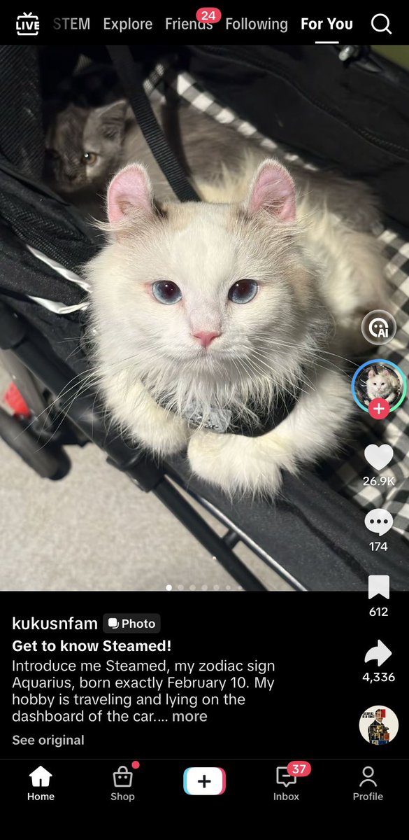 rina 𓆝 𓆟 tweet media