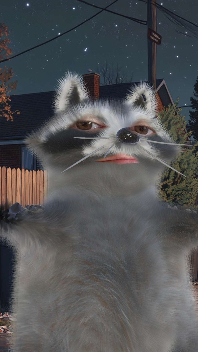 alina 🍁 tweet media