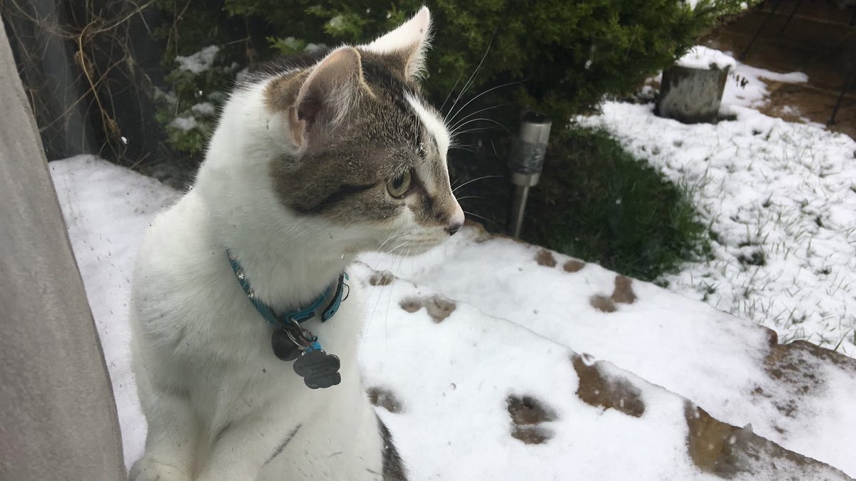 Karen Hall tweet media