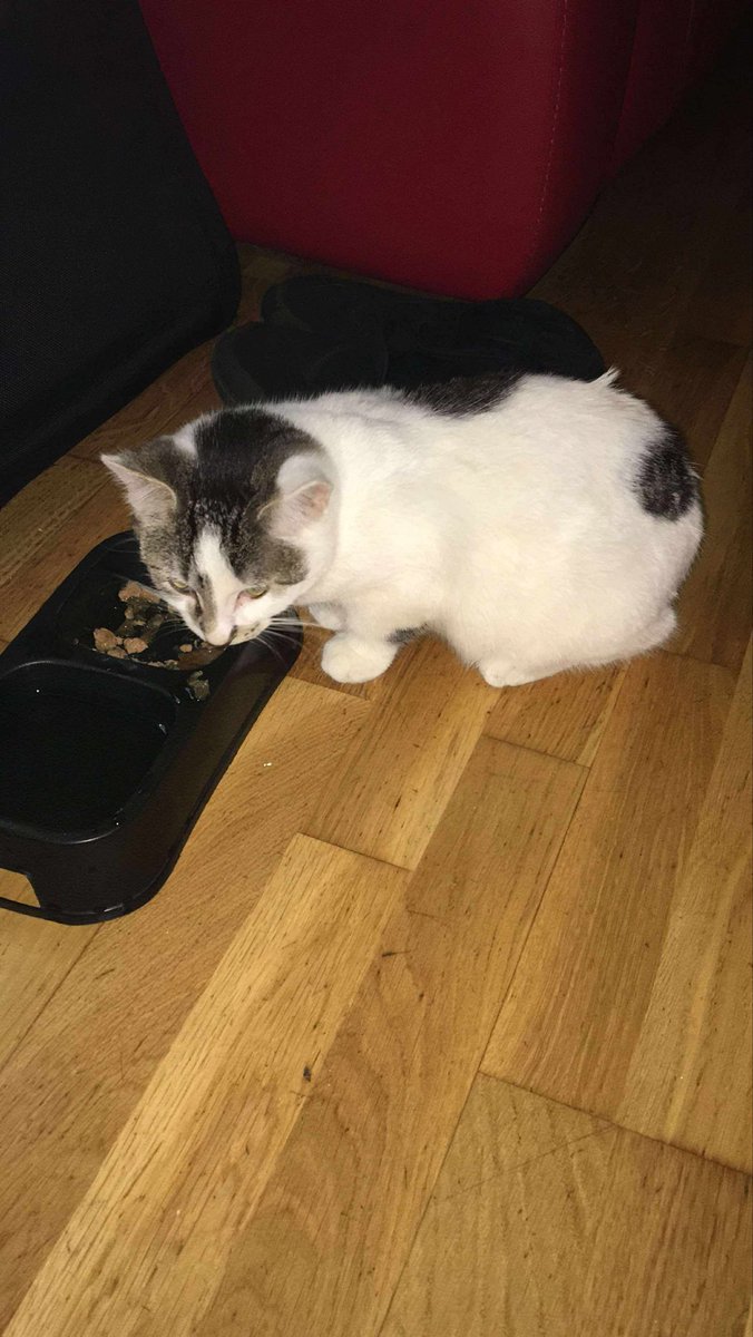 Karen Hall tweet media