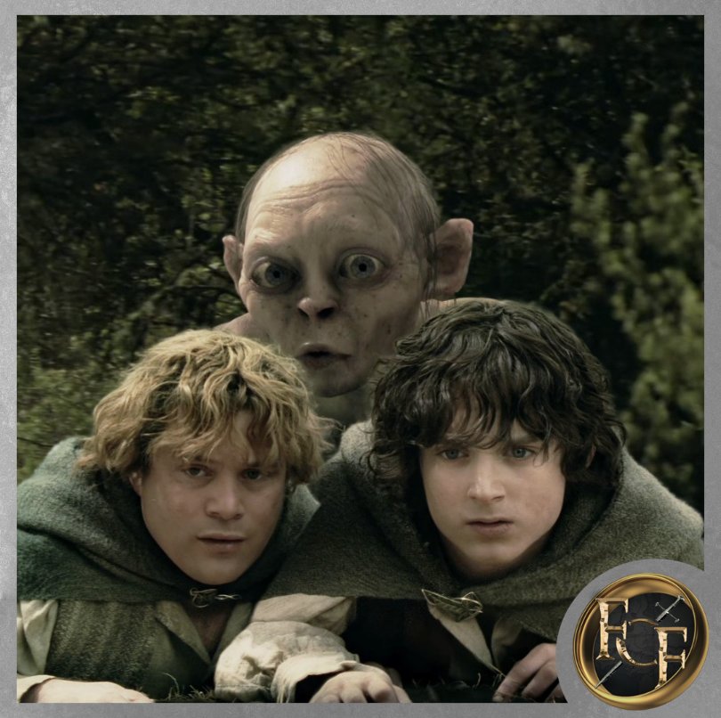 Fellowship of Fans 🐎 tweet media