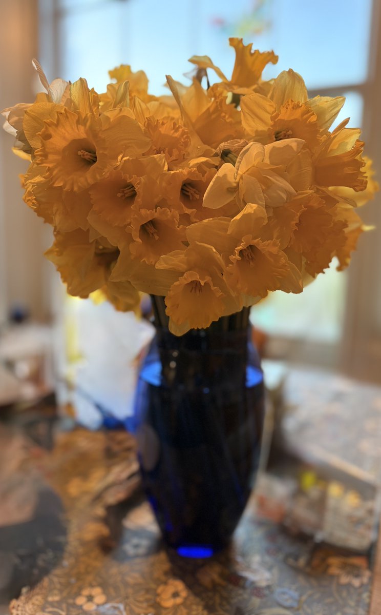 Annunziata Rees-Mogg tweet media