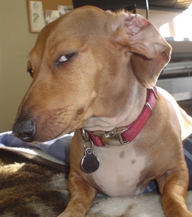 เบ๊บ tweet media