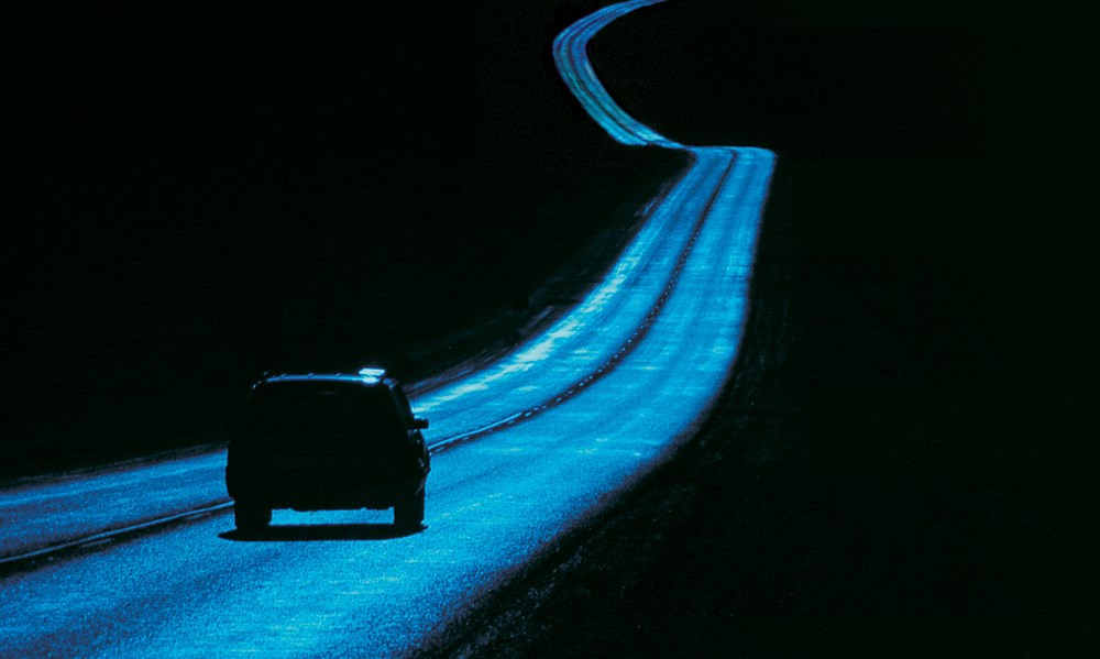 Read Chapter 1-10 for free!
sightswithminds.wixsite.com/sightswithminds
#dark #crime #storytelling #sightswithminds