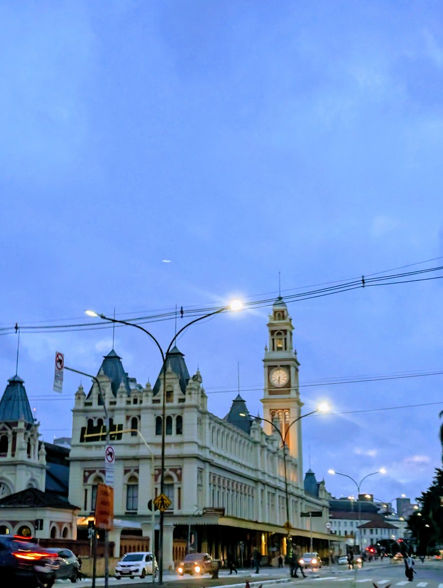 Carlota Fang tweet media