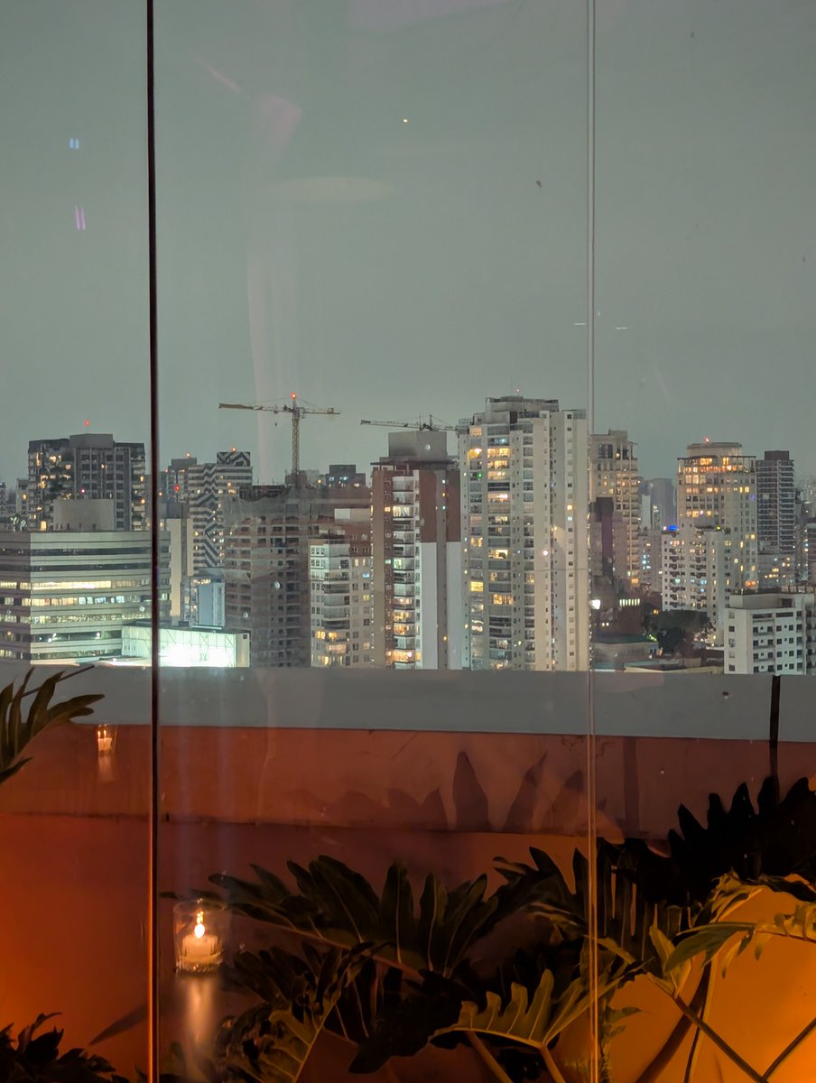 Carlota Fang tweet media