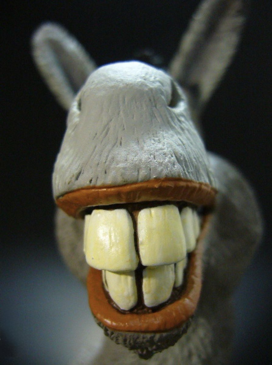 Edify716 tweet media