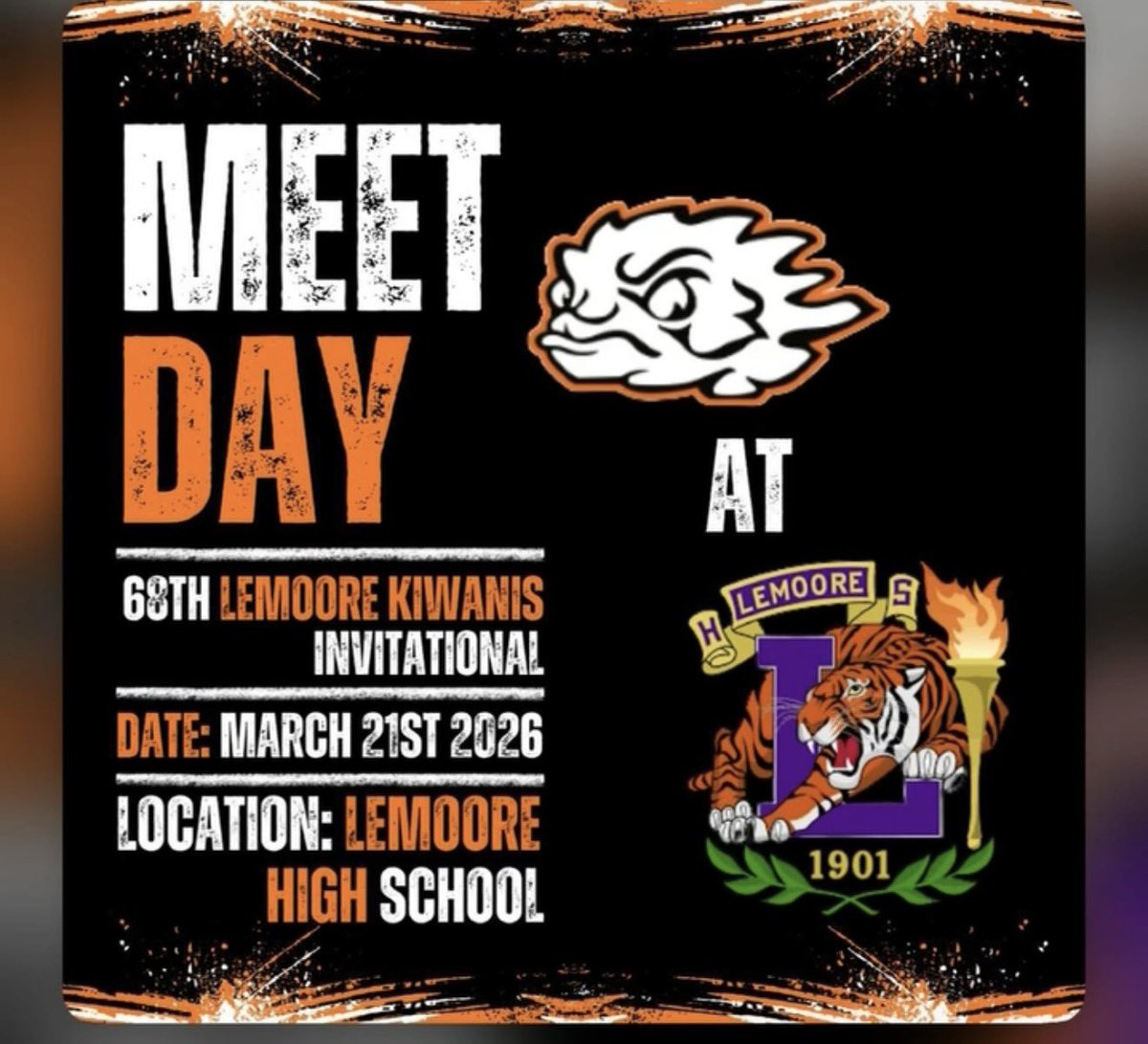 CHS HORNED TOADS tweet media