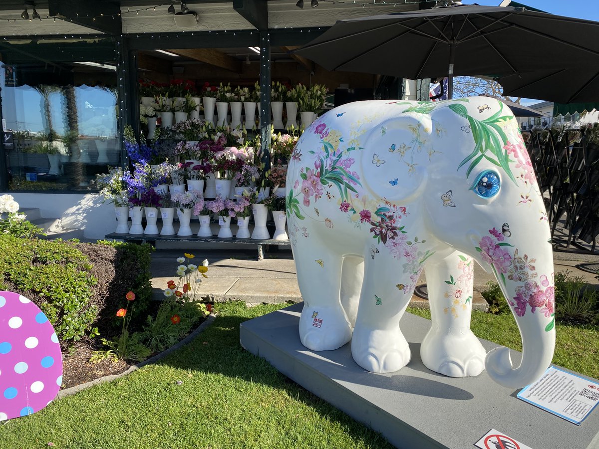 Mike Bookman tweet media