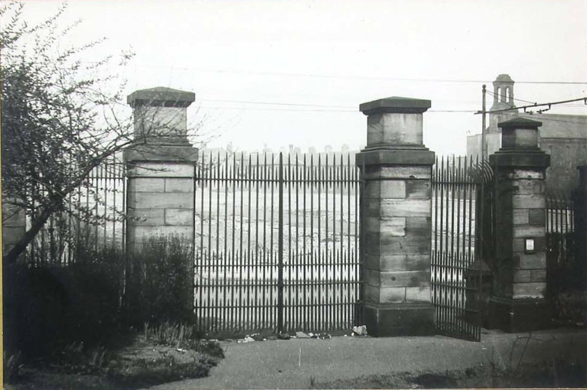 Billy@67 tweet media