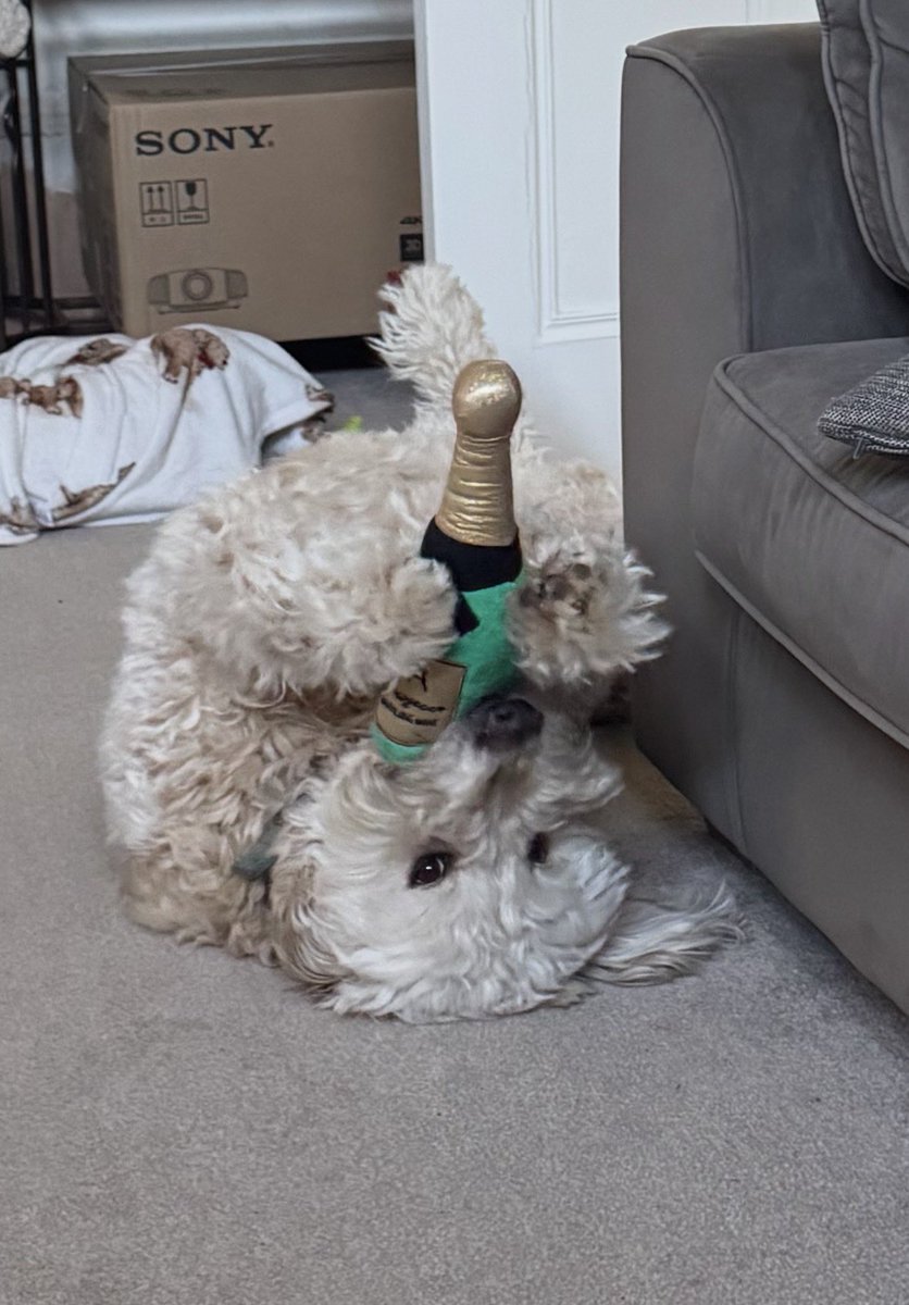 Tashy McTashface tweet media