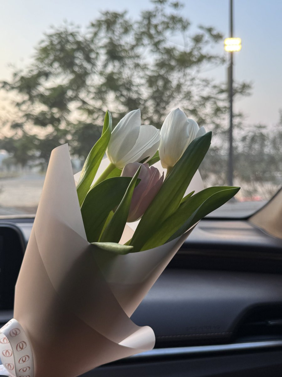 🍒•° tweet media