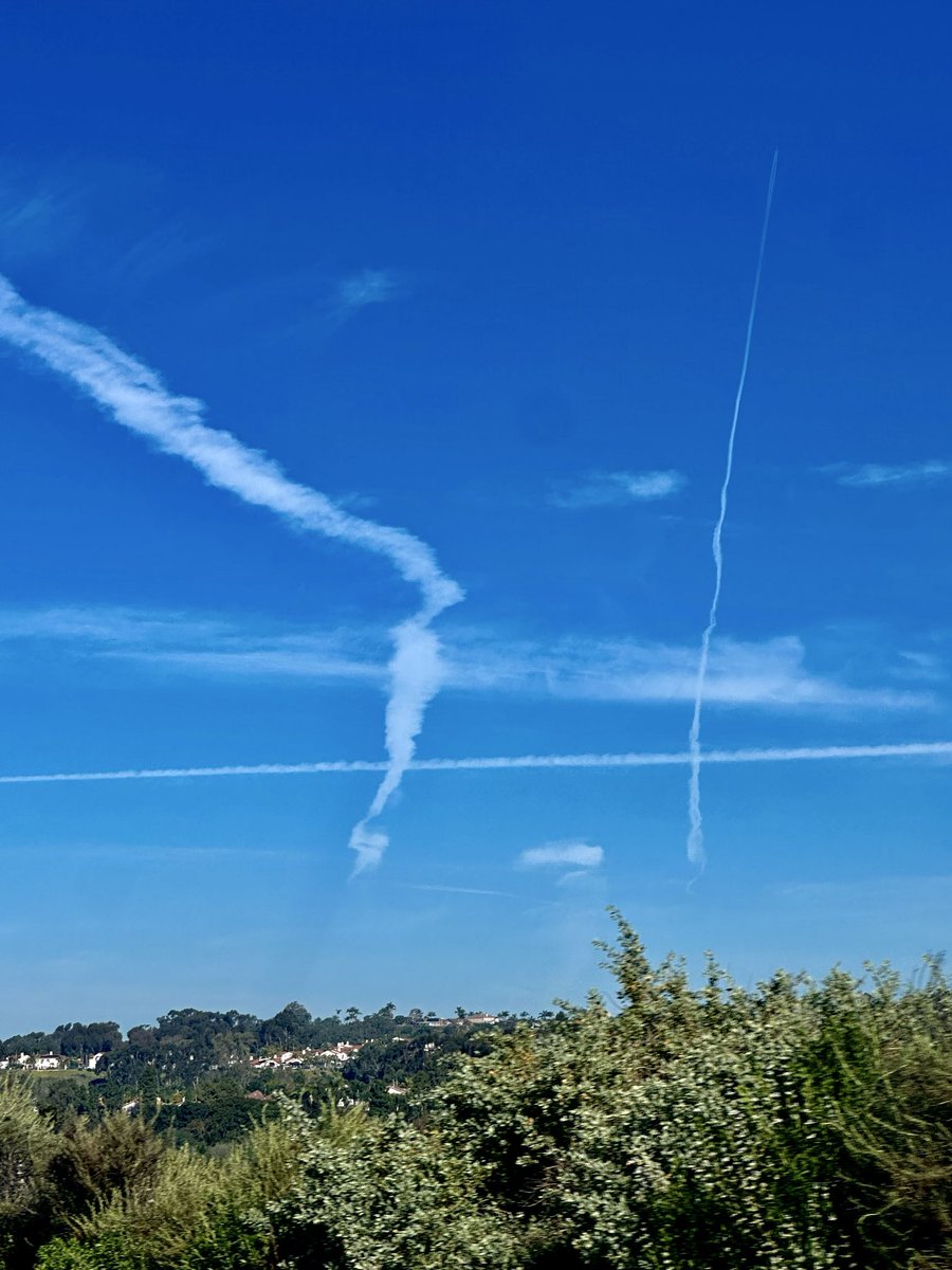 Melissa O'Connor tweet media