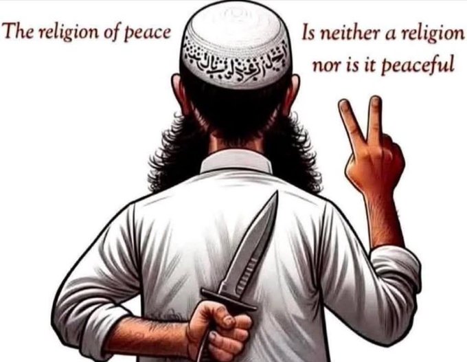 Liza Rosen tweet media