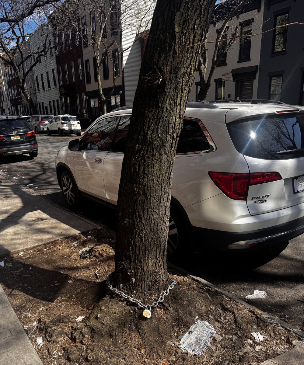 ludwig hurtado tweet media